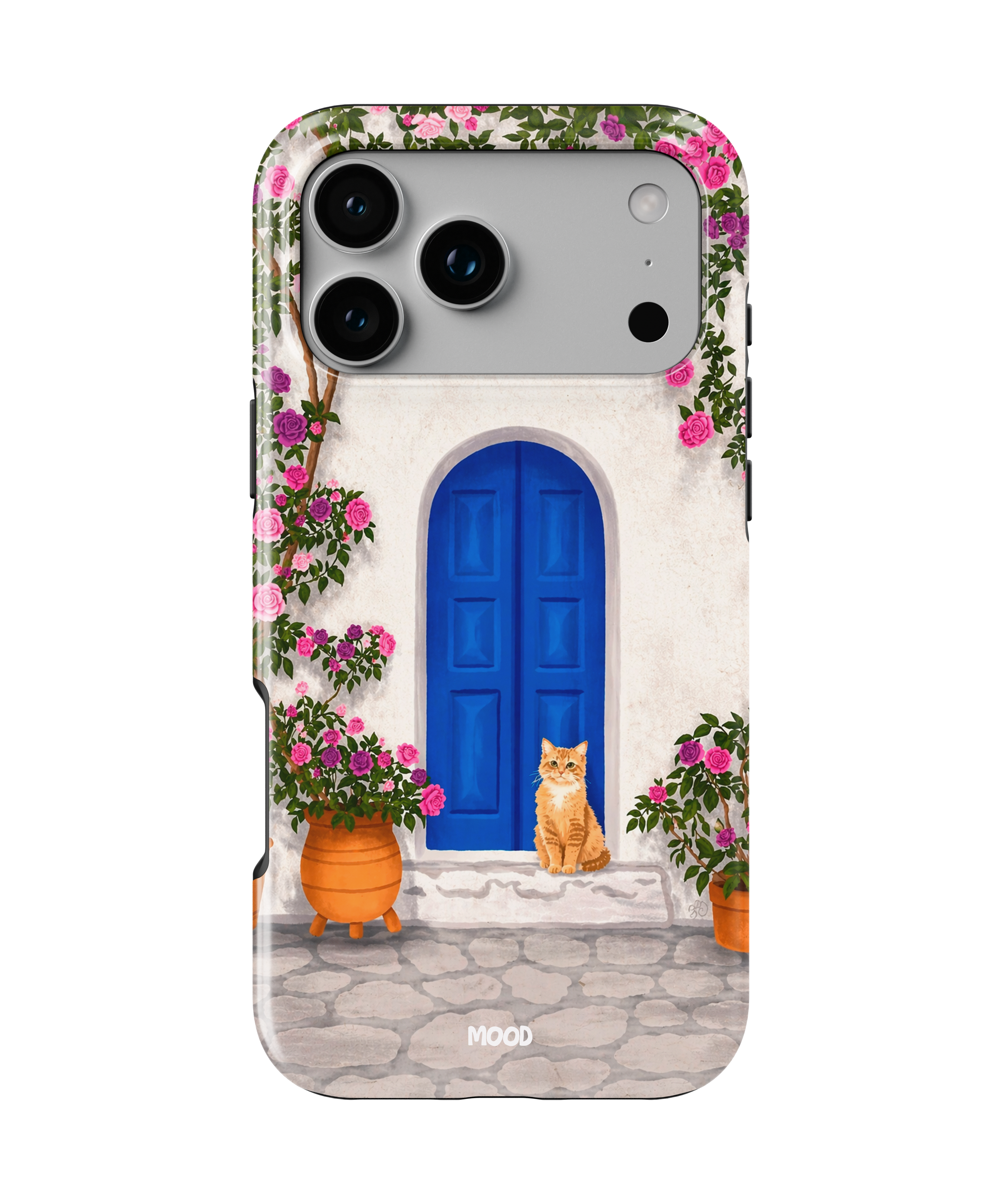Grece Cat