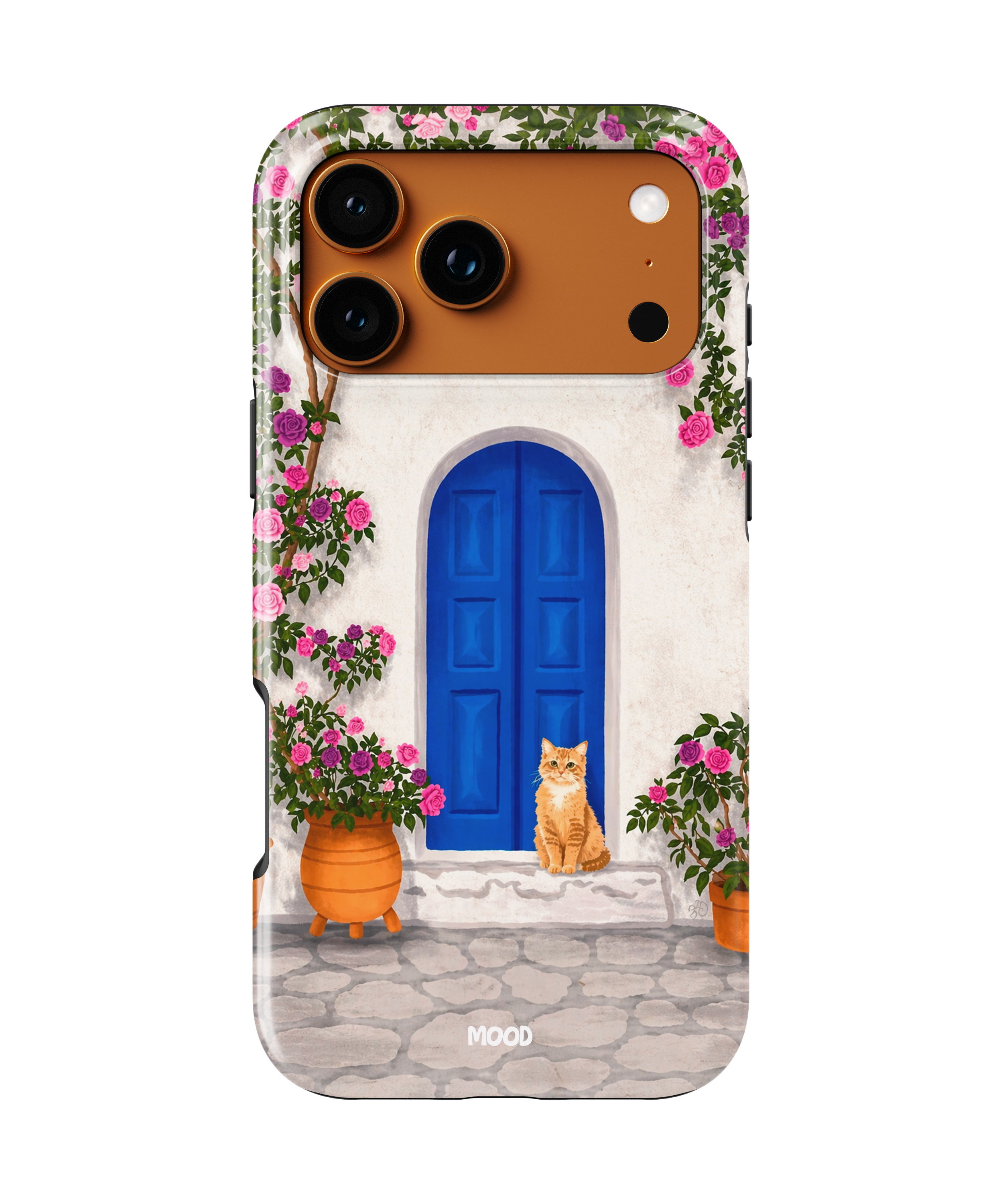 Grece Cat