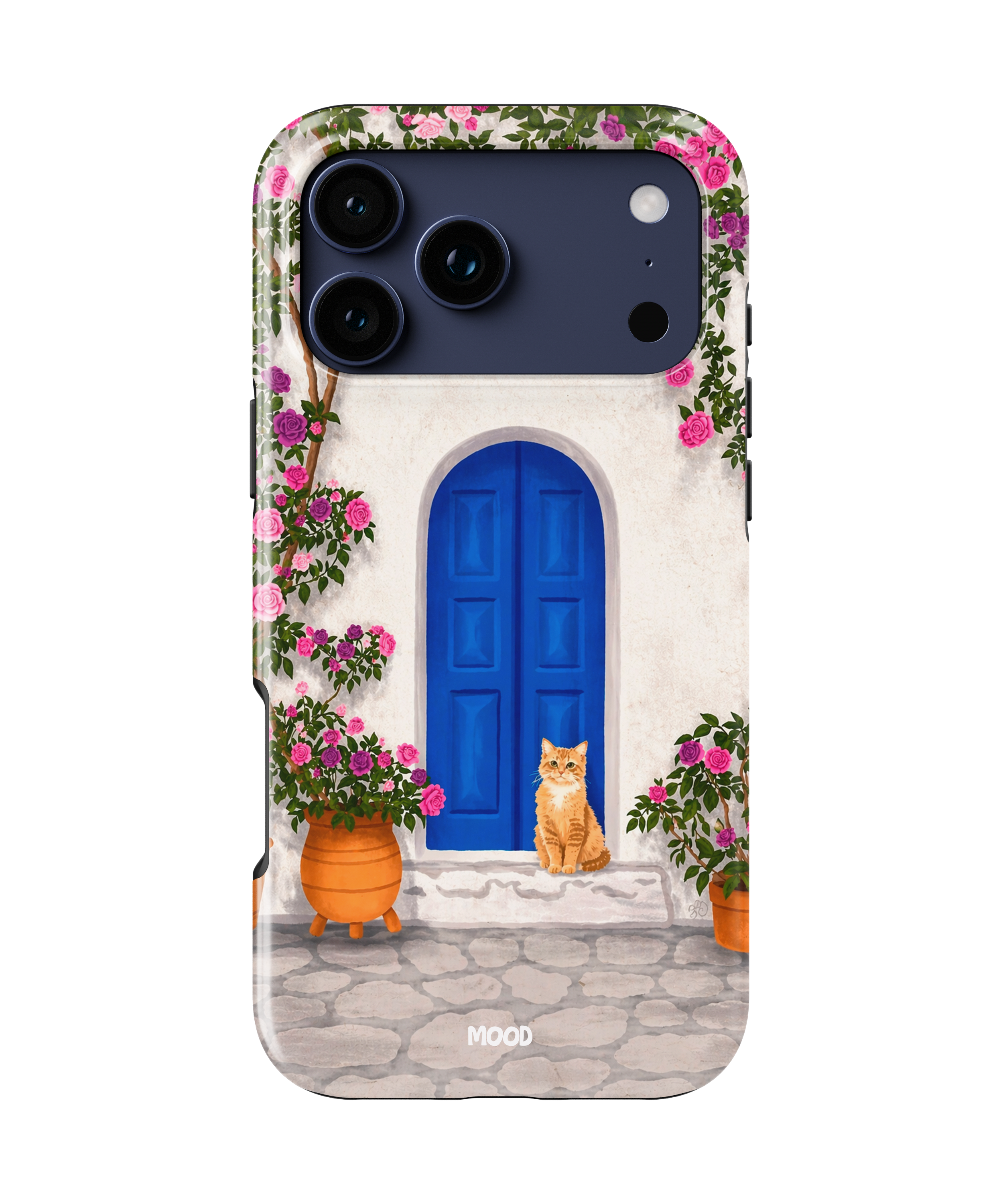 Grece Cat