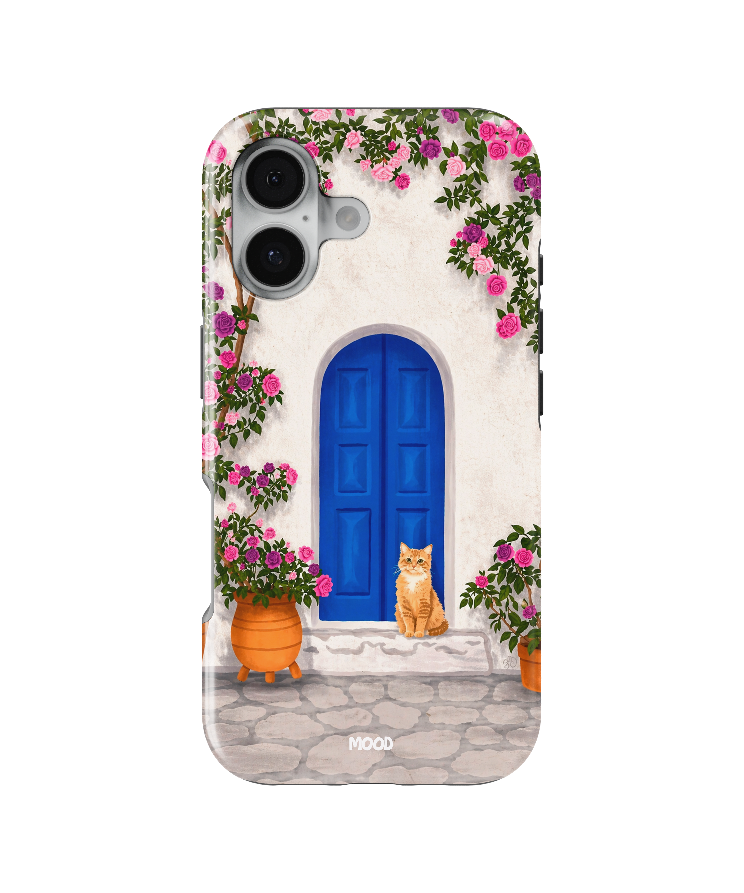 Grece Cat