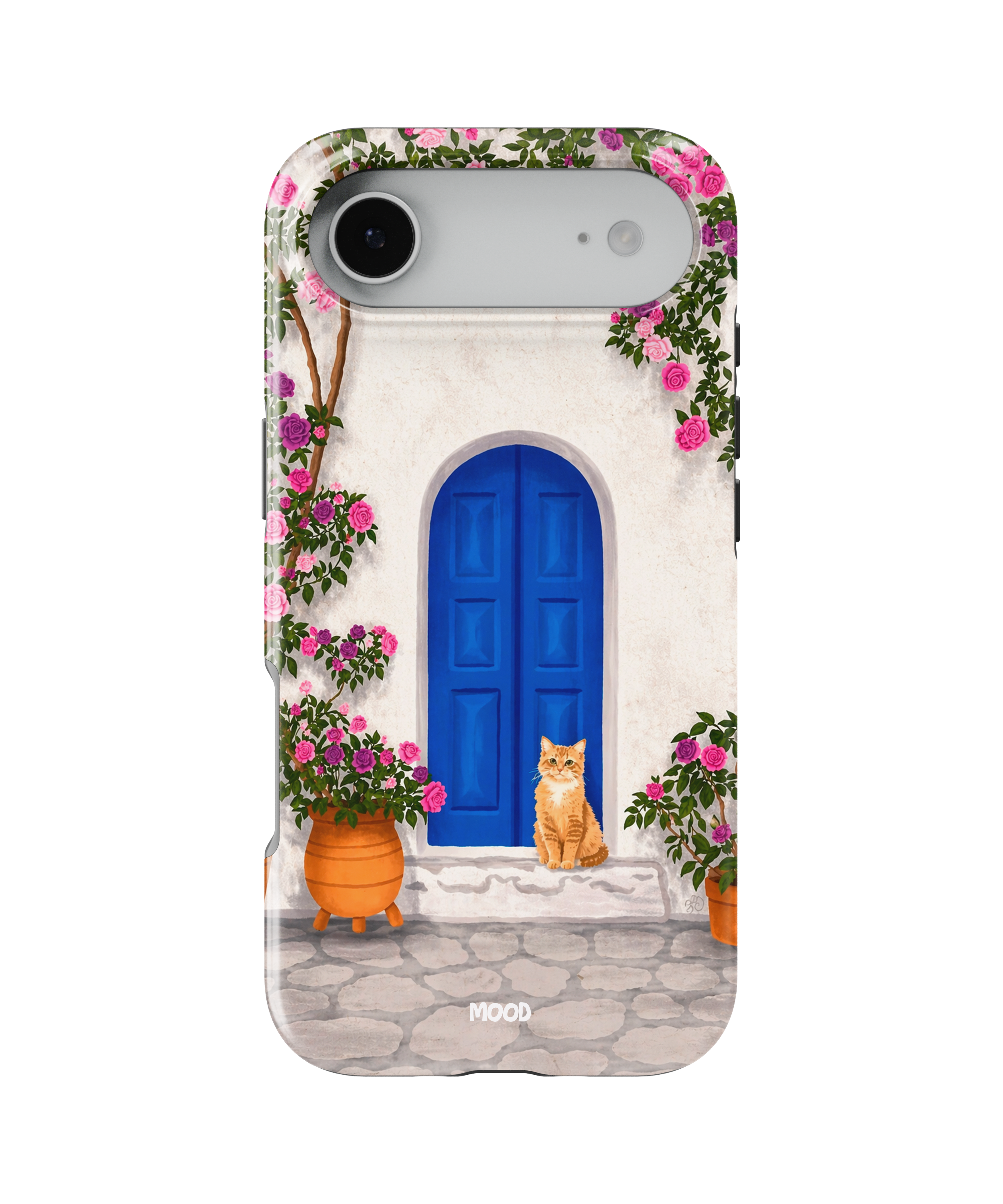 Grece Cat